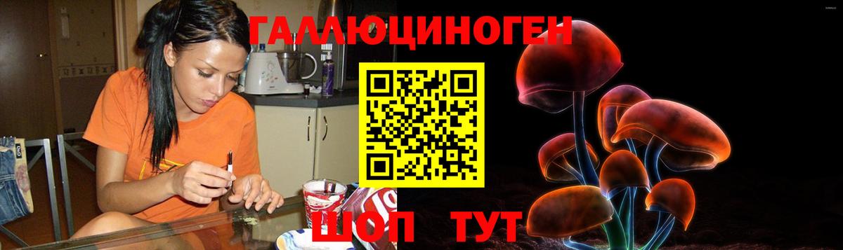 где можно купить наркотик  Галлюциногенные грибы мицелий  Вход с VPN  Калуга 